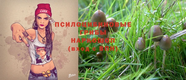 2c-b Верхнеуральск