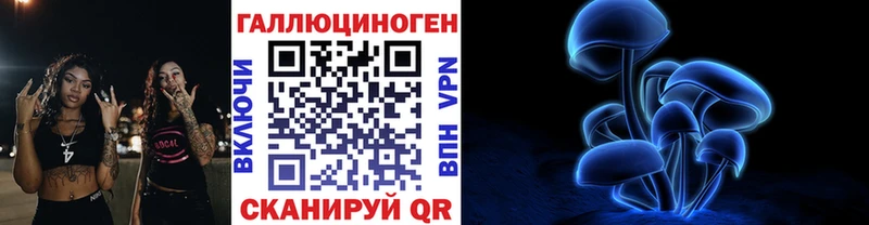 Псилоцибиновые грибы Psilocybe  Купить  Обь 